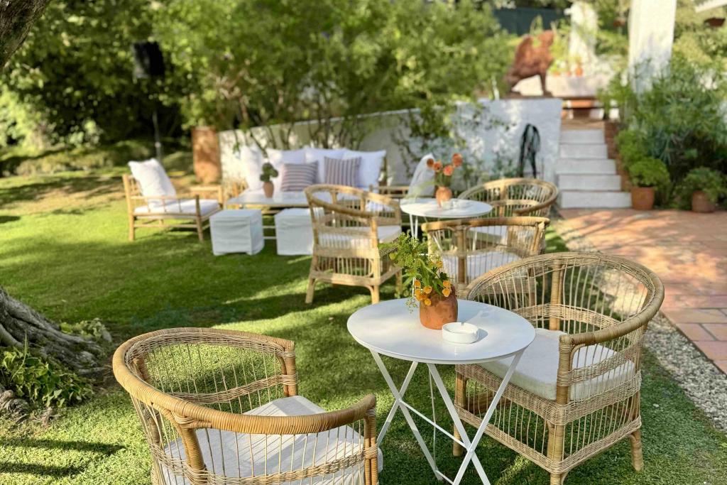 Palma rattan armchair - Image 8